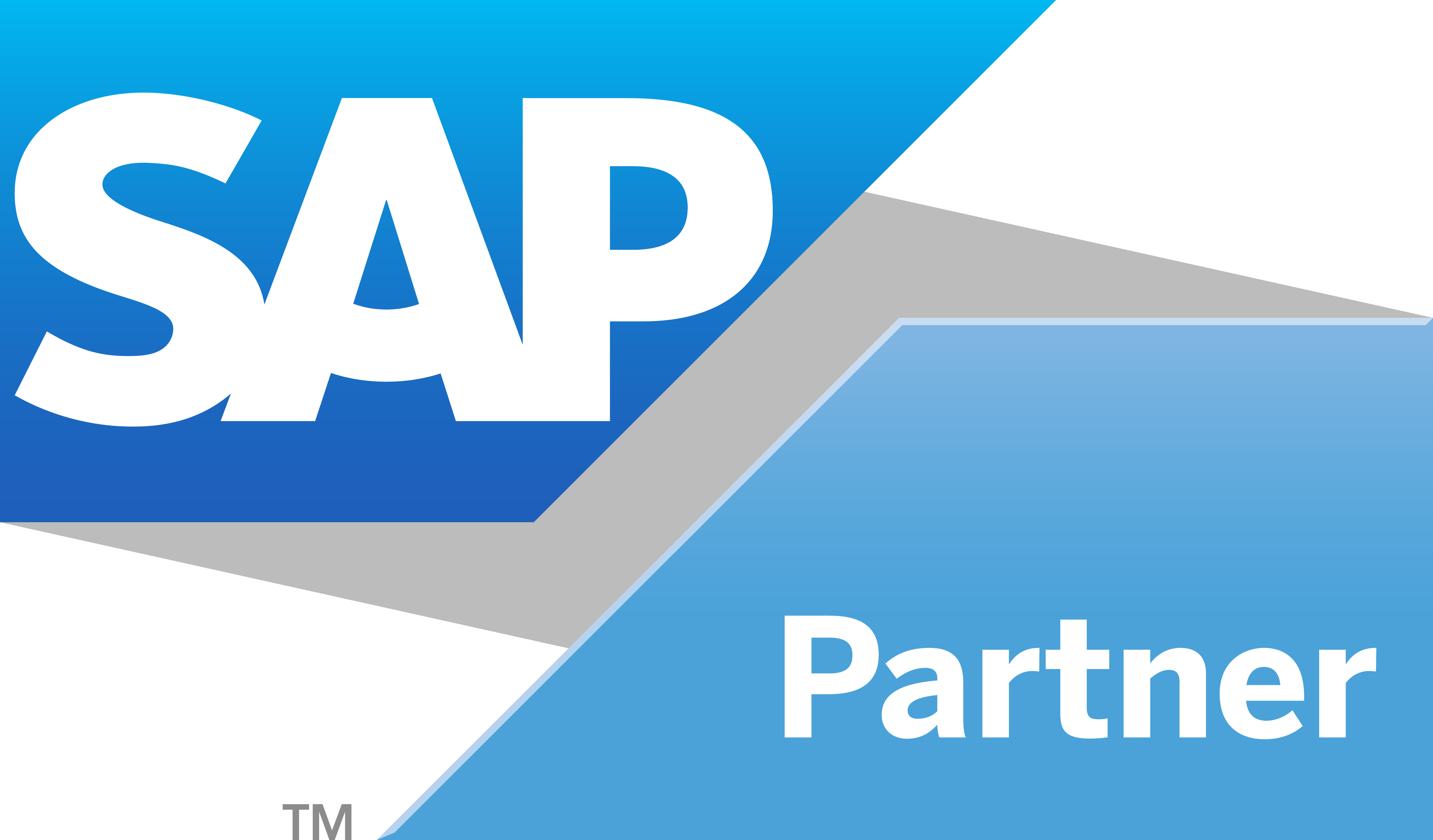 SAP Partner logo
